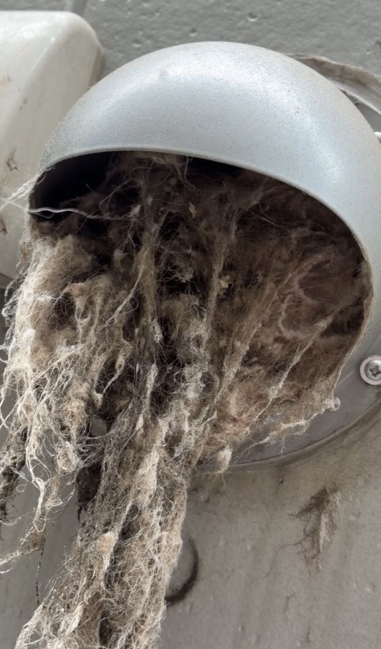 乾太くんの排湿ダクトの屋外排気フードから大量の糸くずがはみ出している様子