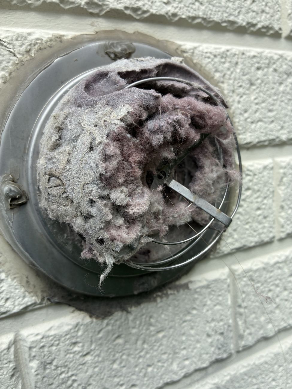 乾太くんの屋外排気口が綿ぼこりで塞がっている様子